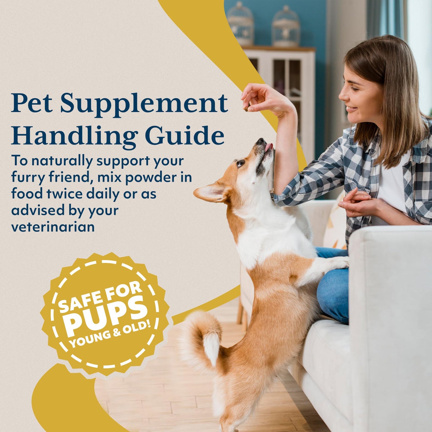 Ayush Herbs Ayush Pet CoCurcumin with Coq10, Muscle and Joint Pet Superfood Powder, Heart and Digestion Support, Small or Large Animals, Young and Senior Pet Supplement, 5.2 Ounces