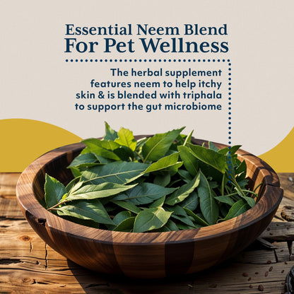 Ayush Pet Skin Plus, Neem Supplement for Healthy Skin and Coat, Supports Gut and Immunity, 90 Capsules