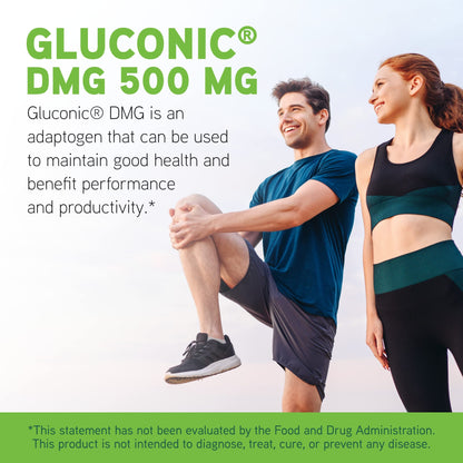DAVINCI Labs Gluconic DMG 500 mg - Dietary Supplement to Support Endurance and Immune System Function - with 500 mg N,N-Dimethylglycine per Tablet - Vegetarian - Gluten-Free - 60 Chewable Tablets