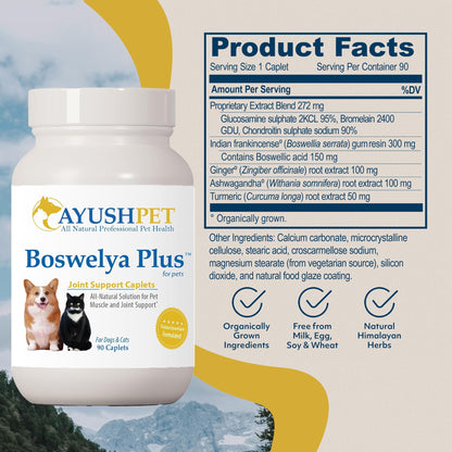 Ayush Pet Boswelya Plus, Joint and Muscle Support for Pets, Ayurvedic Pet Supplement with Boswellia, Ginger, and Bromelain, Large or Small Animals, 90 Vegetarian Caplets