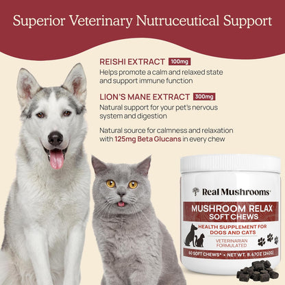 Real Mushrooms Calming Chews for Dogs - Cat Dog Treats w Reishi Lions Mane, Dogs, Relaxation, Bites Pet, 60ct