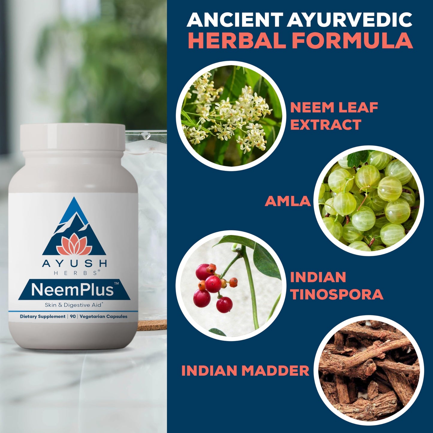 Ayush Herbs Neem Plus - Digestive Health for Women & Men, Gut Support Supplement for Stomach & Skin Health, Immune Support - 90 Vegetarian Capsules (1 Count)