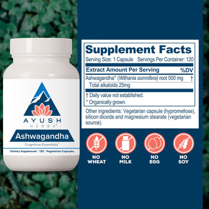 Ayush Herbs Ashwagandha Capsules - Ashwagandha for Men & Women, Ashwagandha Supplements, Pure Ashwagandha Root Powder for Stress, 500mg per Pill - 120 Vegetarian Caplets (1 Count)