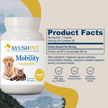 Ayush Pet Mobility, Curcumin Supplement for Healthy Joints, Pure and Powerful Joint, Digestion, and Brain Support, Large or Small Pets, 90 Capsules
