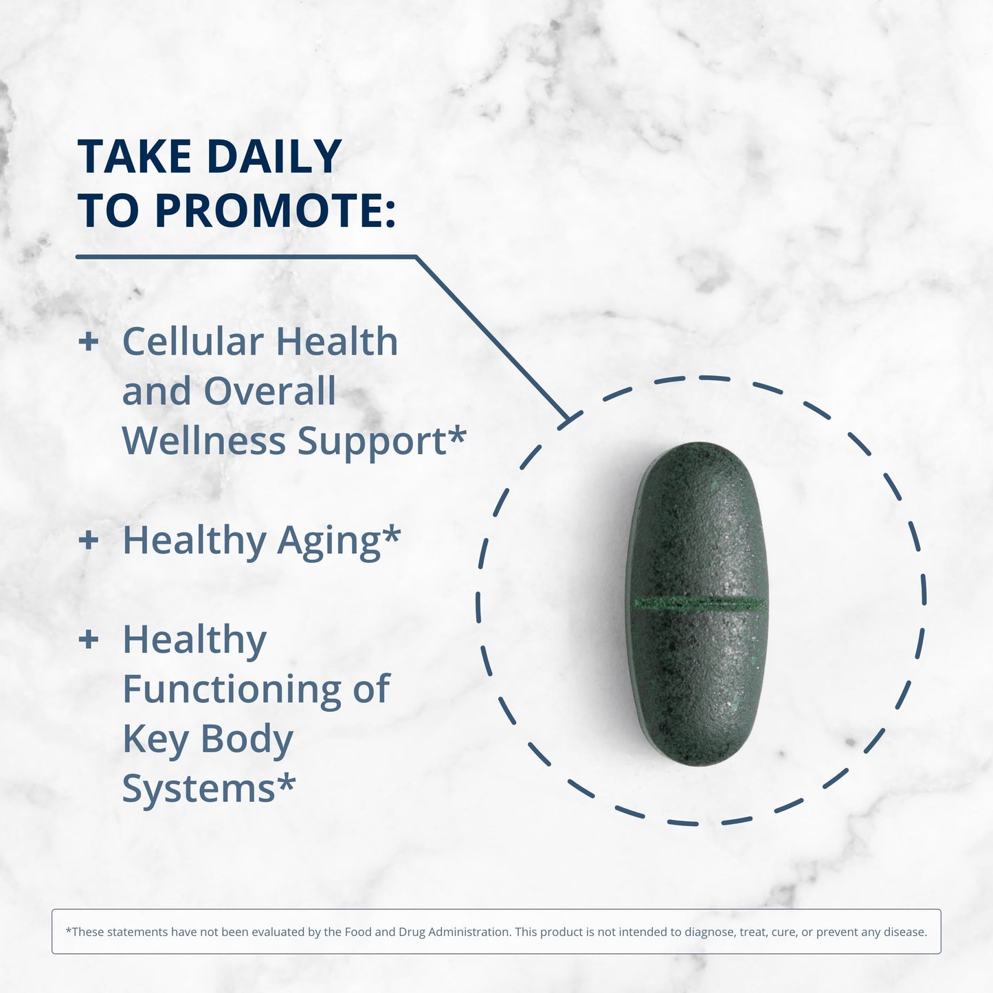 Metagenics PhytoMulti Multivitamin Without Iron - Daily Multivitamin for Overall Health & Aging - 20+ Essential Vitamins & Minerals - with Vitamin B6, Lutein, Zeaxanthin & More - 120 Tablets
