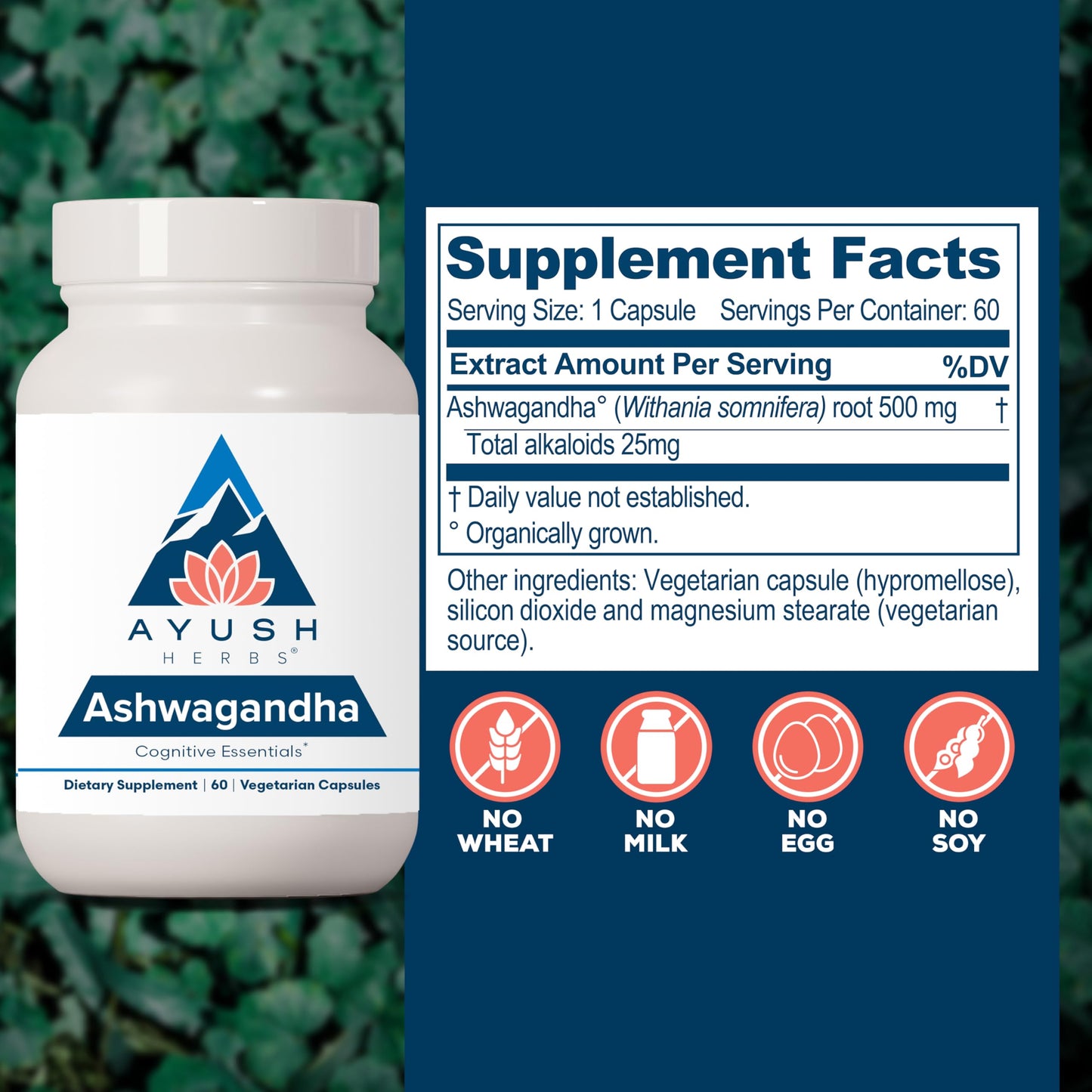 Ayush Herbs Ashwagandha Capsules - Ashwagandha for Men & Women, Ashwagandha Supplements, Pure Ashwagandha Root Powder for Stress, 500mg per Pill - 60 Vegetarian Caplets (1 Count)