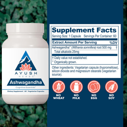 Ayush Herbs Ashwagandha Capsules - Ashwagandha for Men & Women, Ashwagandha Supplements, Pure Ashwagandha Root Powder for Stress, 500mg per Pill - 60 Vegetarian Caplets (1 Count)