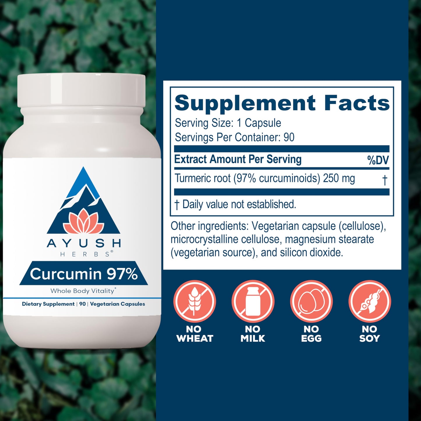 Ayush Herbs Curcumin 97% - Curcumin Supplements, Premium Turmeric Root Supplement, Curcuminoids for Women & Men, Adults, Premium Joint Support, Strength & Vitality - 90 Vegetarian Capsules (1 Count)
