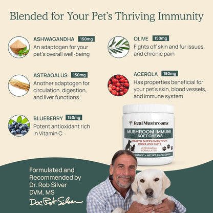 Mushroom Immune Support Pet Chews 60ct Treats for Dogs Booster Supplements Pets with Ashwagandha, Astragalus, Blueberry, Olive Leaf, Acerola Gut Health and Cats