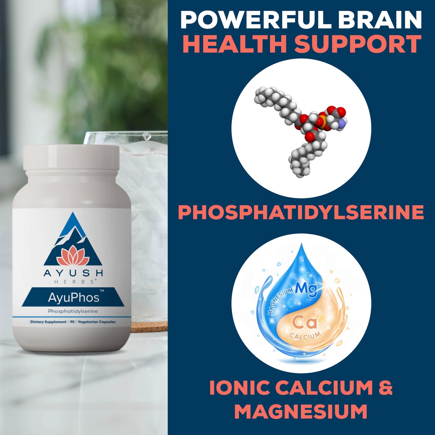 Ayush Herbs AyuPhos - Phosphatidylserine Supplement for Men & Women, Soy-Free Phosphatidyl Serine, Brain, Memory, & Cognitive Support for Adults, 200mg Per Pill - 90 Vegetarian Capsules (1 Count)