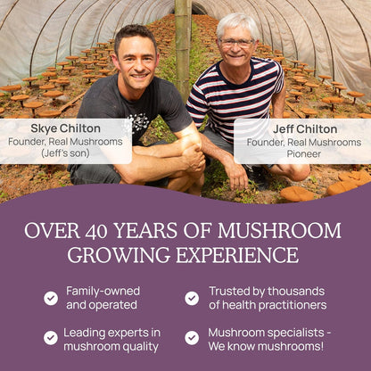 Real Mushrooms Chaga Capsules - Organic Mushroom Supplement with Extract Powder for Digestion, Energy, Immune Support Vegan Extract, Non-GMO, 120 Caps