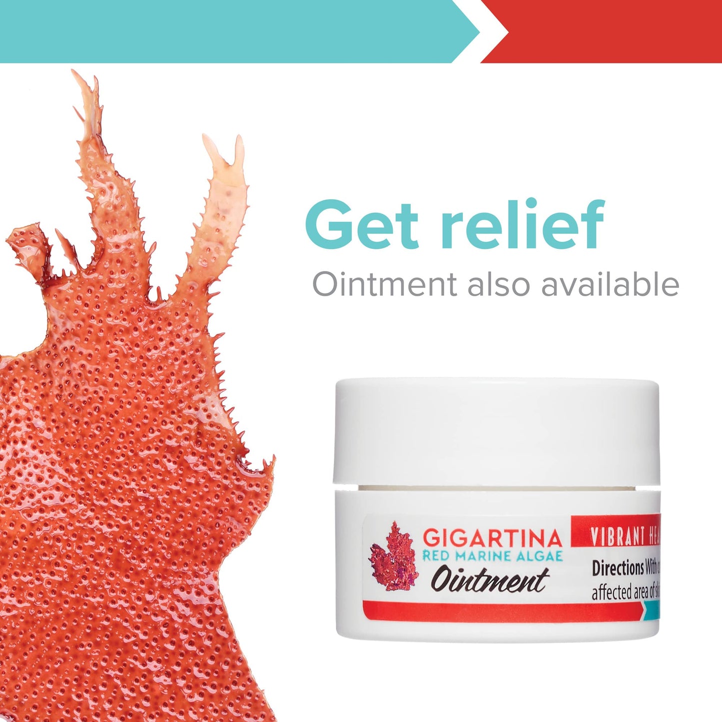 Vibrant Health, Gigartina Red Marine Algae, Plant-Based Immune Support, 60 Capsules (FFP)