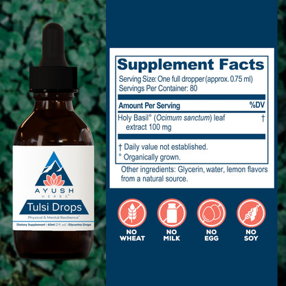 Ayush Herbs Tulsi Drops - Alcohol-Free Tulsi Drops, Holy Basil Gylcerite, Natural Immune-Support Drops for Kids & Adults, Calm & Focus Booster - 2 Fl Oz (80 Servings)
