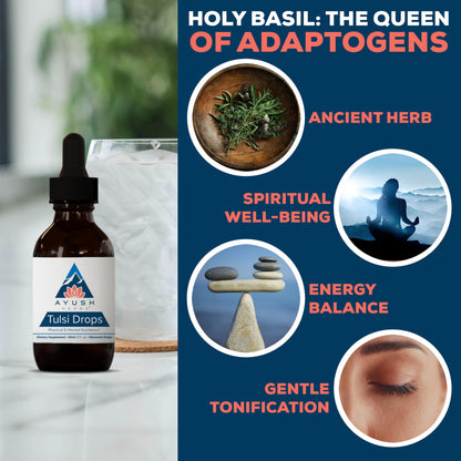 Ayush Herbs Tulsi Drops - Alcohol-Free Tulsi Drops, Holy Basil Gylcerite, Natural Immune-Support Drops for Kids & Adults, Calm & Focus Booster - 2 Fl Oz (80 Servings)