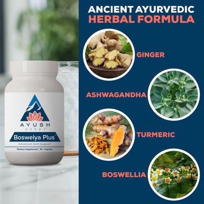 Ayush Herbs Boswelya Plus - Glucosamine Chondroitin Joint Support Supplement, Turmeric Muscle Support for Men & Women, Joint Care with Curcumin - 90 Vegetarian Capsules (1 Count)