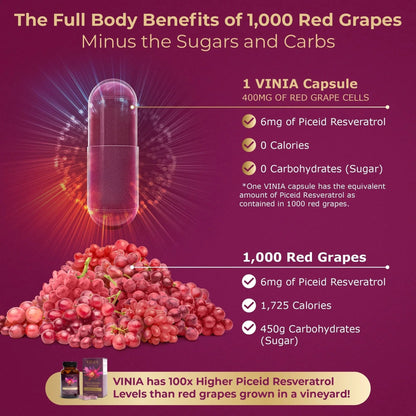 12-Hour Long-Lasting Piceid Resveratrol Supplement. Nitric Oxide Supplement. Supports Heart Health, Blood Flow, Boost Oxygen Superfood Powder, Keto Friendly. Vegan & Non-GMO. 60 Day Supply.