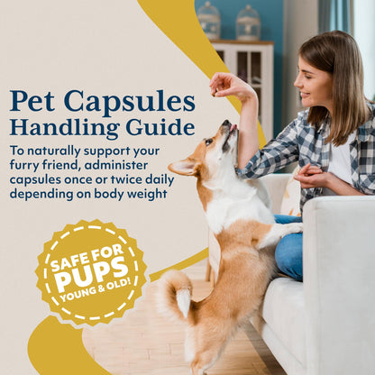 Ayush Pet Mobility, Curcumin Supplement for Healthy Joints, Pure and Powerful Joint, Digestion, and Brain Support, Large or Small Pets, 90 Capsules