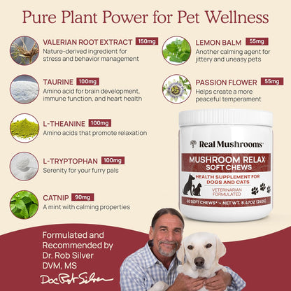 Real Mushrooms Calming Chews for Dogs - Cat Dog Treats w Reishi Lions Mane, Dogs, Relaxation, Bites Pet, 60ct