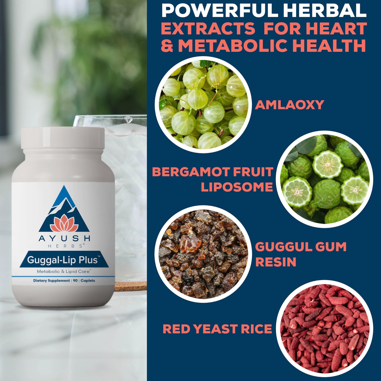 Ayush Herbs Guggal-Lip Plus - Metabolic Vitamins for Women & Men, Daily Pill, Pure & Natural Metabolic Health Supplement with Guggul - 90 Vegetarian Caplets (1 Count)