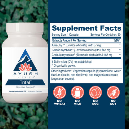 Ayush Herbs Trifal Digestive Support with Amla - Triphala Supplement for Women & Men, Promotes Balanced Digestion, Antioxidant Rich, Made with Organic Ingredients - 90 Vegetarian Capsules (1 Count)