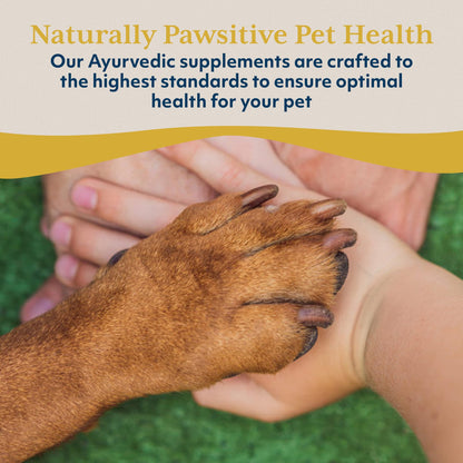 Ayush Pet Mobility, Curcumin Supplement for Healthy Joints, Pure and Powerful Joint, Digestion, and Brain Support, Large or Small Pets, 90 Capsules