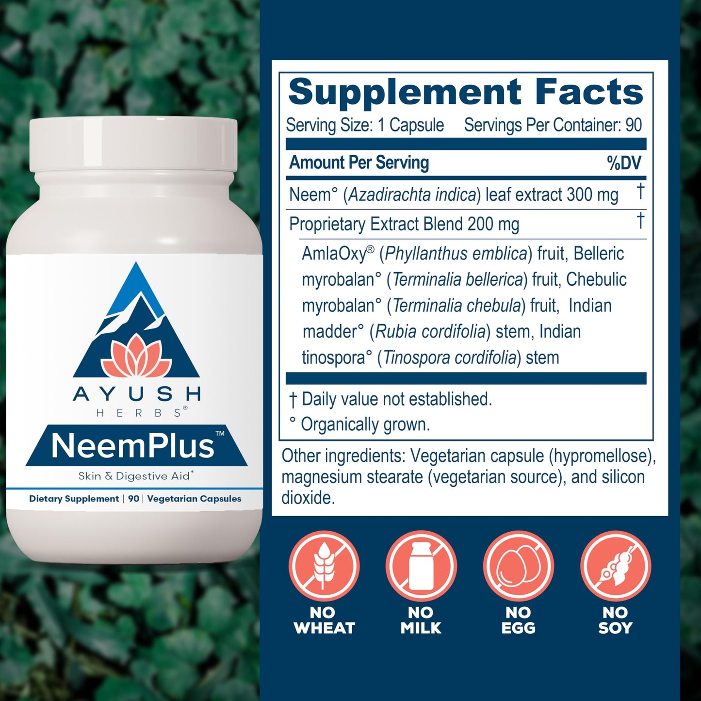 Ayush Herbs Neem Plus - Digestive Health for Women & Men, Gut Support Supplement for Stomach & Skin Health, Immune Support - 90 Vegetarian Capsules (1 Count)