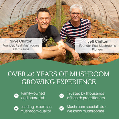 Real Mushrooms 5 Defenders Powder - Organic Mushroom Extract w/Chaga, Shiitake, Maitake, Turkey Tail, & Reishi - Mushroom Supplement for Brain, Focus, & Immune Support - Vegan, Non-GMO, 100 Servings