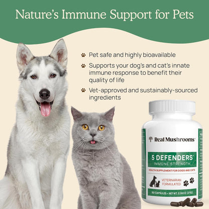 5 Defenders Mushroom Supplements for Cat Dog Vitamins Health Support with Chaga, Shiitake, Reishi Turkey Tail - Vet-Approved Powder Capsules 90ct