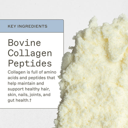 Collagen Protein - Type 1 & 3 Collagen