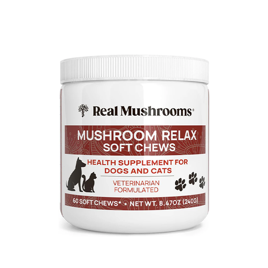 Real Mushrooms Calming Chews for Dogs - Cat Dog Treats w Reishi Lions Mane, Dogs, Relaxation, Bites Pet, 60ct