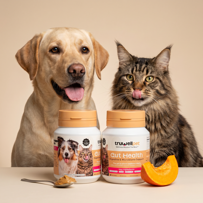 TruWell Pet Gut Health Soft Chews for Dogs & Cats — Digestive & Microbiome Support with 3 Billion CFU Probiotics, Prebiotics & Pumpkin — Peanut Butter Flavor, 60 Chews