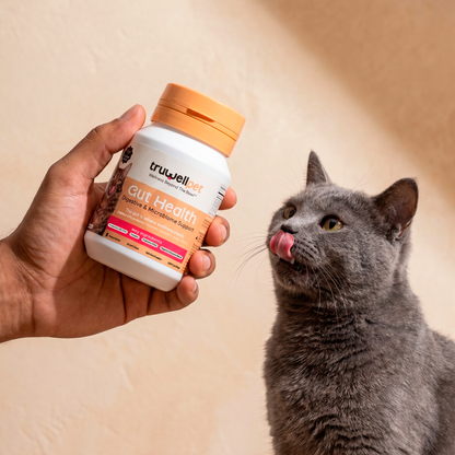 TruWell Pet Gut Health Soft Chews for Dogs & Cats — Digestive & Microbiome Support with 3 Billion CFU Probiotics, Prebiotics & Pumpkin — Peanut Butter Flavor, 60 Chews