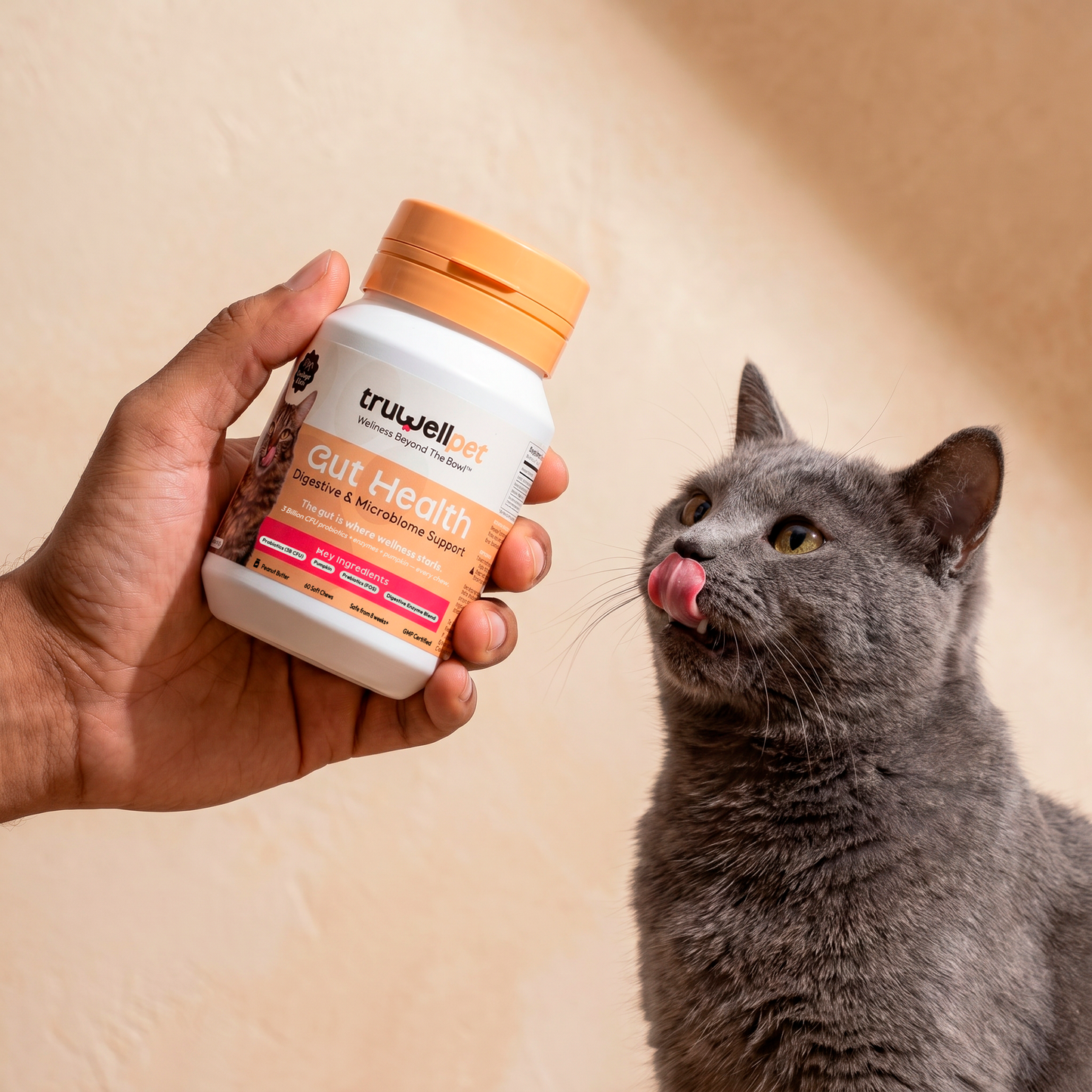 TruWell Pet Gut Health Soft Chews for Dogs & Cats — Digestive & Microbiome Support with 3 Billion CFU Probiotics, Prebiotics & Pumpkin — Peanut Butter Flavor, 60 Chews