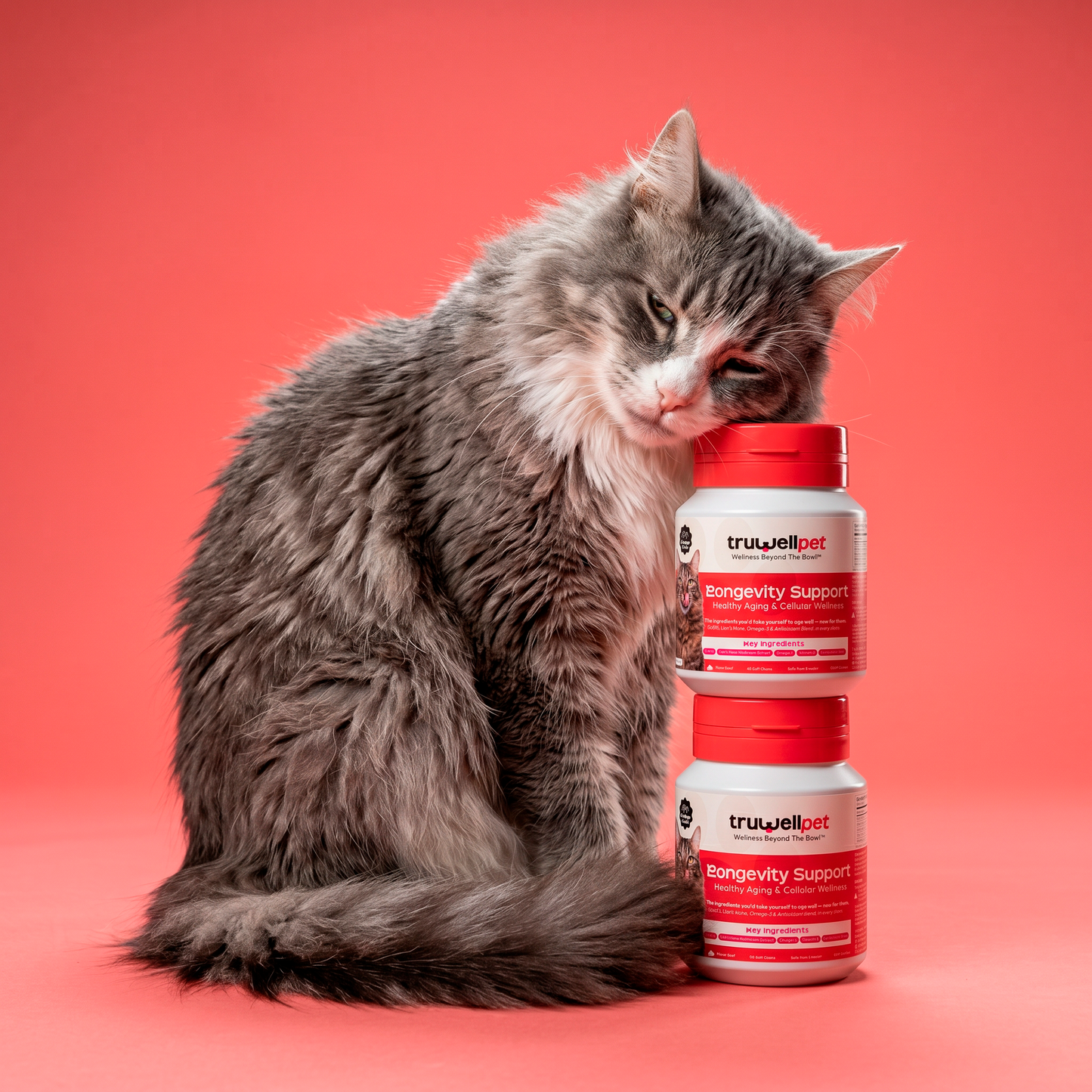 TruWell Pet Longevity Support Soft Chews for Dogs & Cats — Healthy Aging & Cellular Wellness with CoQ10, Lion's Mane, Omega-3 & Antioxidants — Beef Flavor, 60 Chews