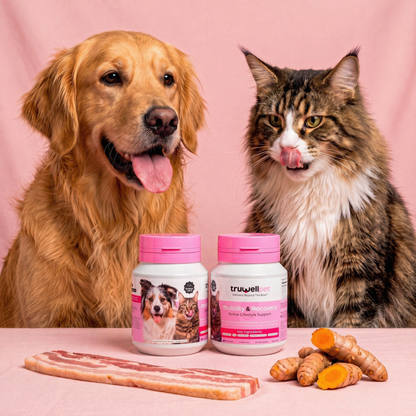TruWell Pet Mobility & Recovery Soft Chews for Dogs & Cats — Joint Support with Glucosamine, MSM, Turmeric, Boswellia & Green Lipped Mussel — Bacon Flavor, 60 Chews