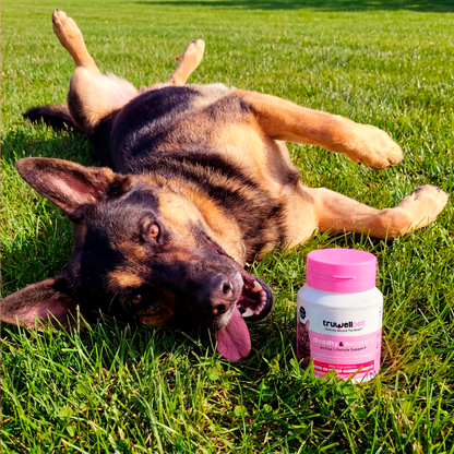 TruWell Pet Mobility & Recovery Soft Chews for Dogs & Cats — Joint Support with Glucosamine, MSM, Turmeric, Boswellia & Green Lipped Mussel — Bacon Flavor, 60 Chews