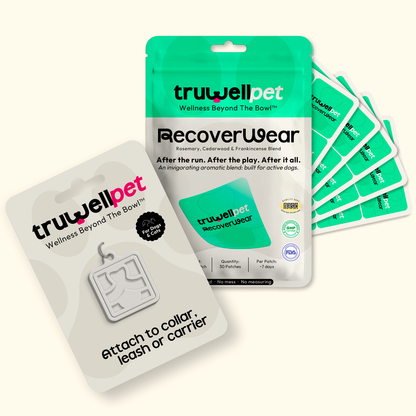 TruWell Pet Aromatherapy Locket for Dogs & Cats — Reusable Clip-On Patch Holder for TruWell Pet Wear Aroma Patches — Attaches to Collar, Leash or Carrier