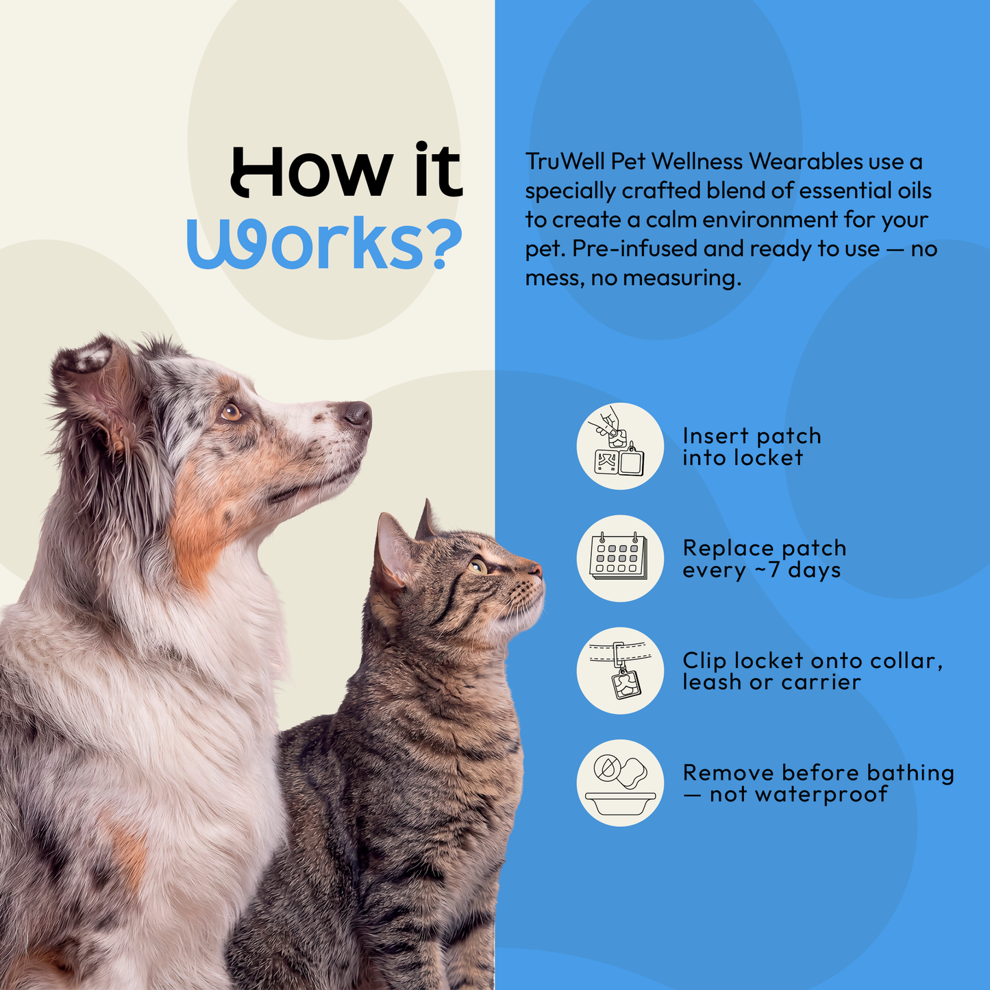 TruWell Pet CalmWear Aroma Patches for Dogs & Cats — Lavender, Chamomile & Frankincense Blend for Fireworks, Vet Visits & Separation Anxiety — 30 Patches