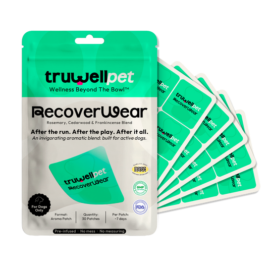 TruWell Pet RecoverWear Aroma Patches for Dogs — Rosemary, Cedarwood & Frankincense Blend for Post-Activity Recovery — 30 Patches