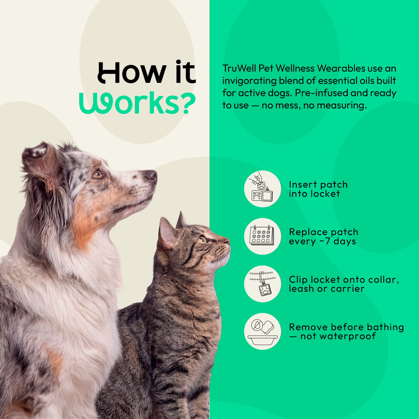 TruWell Pet RecoverWear Aroma Patches for Dogs — Rosemary, Cedarwood & Frankincense Blend for Post-Activity Recovery — 30 Patches