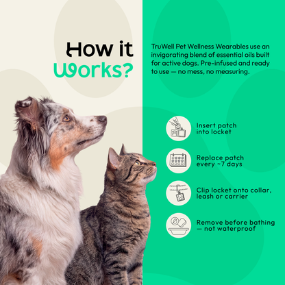 TruWell Pet RecoverWear Aroma Patches for Dogs — Rosemary, Cedarwood & Frankincense Blend for Post-Activity Recovery — 30 Patches