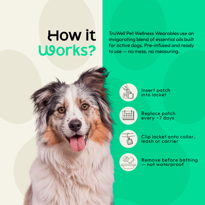 TruWell Pet RecoverWear Aroma Patches for Dogs — Rosemary, Cedarwood & Frankincense Blend for Post-Activity Recovery — 30 Patches