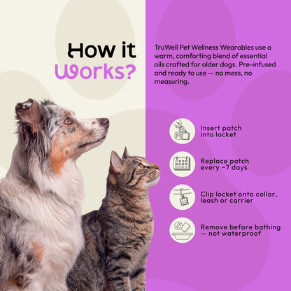 TruWell Pet SeniorWear Aroma Patches for Dogs — Frankincense, Cedarwood & Chamomile Blend for Senior Pet Wellness Routines — 30 Patches