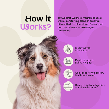 TruWell Pet SeniorWear Aroma Patches for Dogs — Frankincense, Cedarwood & Chamomile Blend for Senior Pet Wellness Routines — 30 Patches