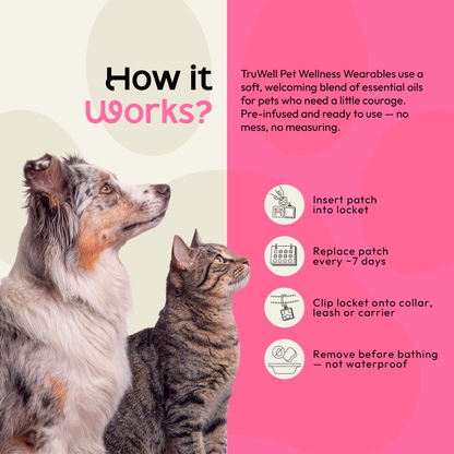 TruWell Pet SocialWear Aroma Patches for Dogs & Cats — Lavender, Chamomile & Vanilla Blend for New Places, New Faces & Social Situations — 30 Patches