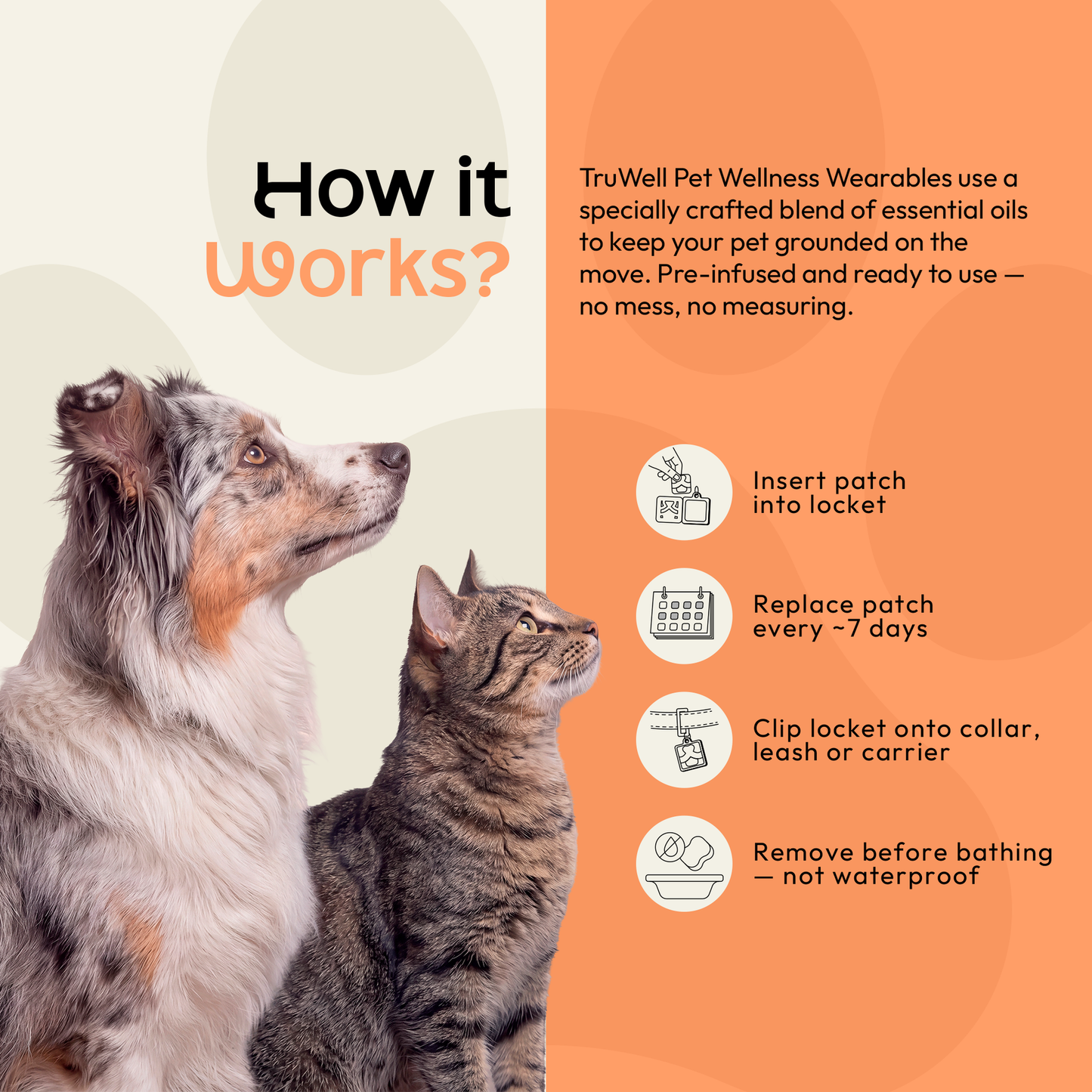 TruWell Pet TravelWear Aroma Patches for Dogs & Cats — Lavender, Ginger & Cedarwood Blend for Car Rides, Flights & Travel — 30 Patches