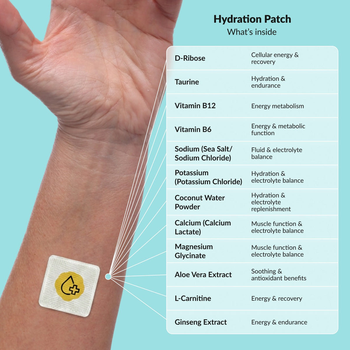 PatchAura Hydration Patch – Electrolyte Balance & Recovery Support, Rehydration & Endurance Boost, Daily Wellness Patches (30 Patches)
