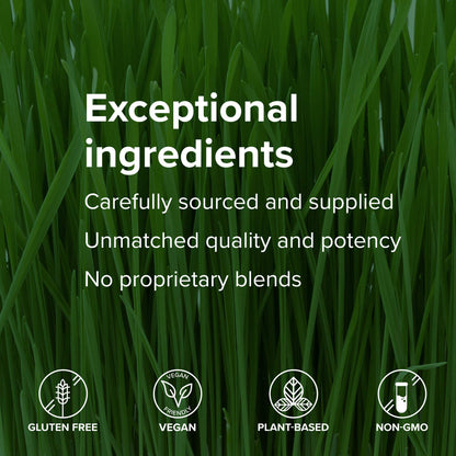 Vibrant Health, Maximum Vibrance, Complete Vegan Meal Shake with Plant-Based Protein